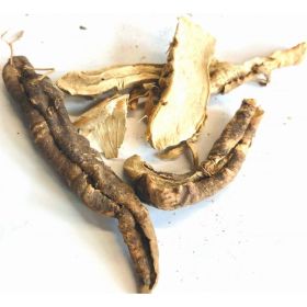 Orris Root (Option: P-69)