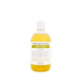 PA SHAMP (1 X 12 OZ) (Scent: Verbena Sage)