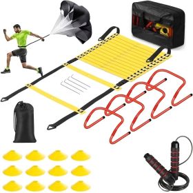 Professional Agility Ladder Training Set for Speed & Footwork - Adjustable Fitness Equipment with Carry Bag for Coordination (Color: Yellow)
