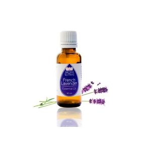 Lavender (Swiss Alpine) Essential Oil (Option: P-199)